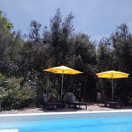 2 Pieces "Le Brin De Soleil" Gites Appart 'Hotel L'Echappee Belle D'Aubenas Logement 1 Sur 3 Exterior photo